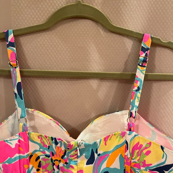 Lilly Pulitzer Christine Besame Mucho Smocked Poplin Fit & Flare Dress Sz10 - Picture 9 of 16